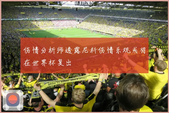 伤情分析师透露尼科伤情乐观或将在世界杯复出